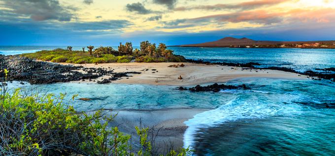 Od decembra do maja je na Galapagosu deževno obdobje, ko je tudi bolj vroče. To je tudi priporočljivo obdobje za obisk otočja. Voda je takrat bolj bistra, predvsem pa mirnejša. Suha in hladnejša sezona traja od junija do novembra. | Foto: 