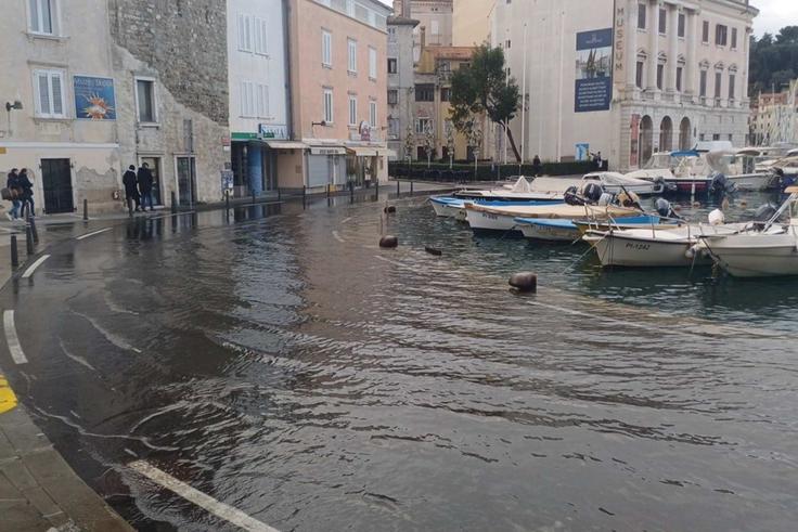 Piran, poplavljanje morja | Foto: Občina Piran