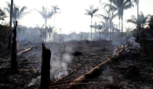Amazonski pragozd izginja v plamenih #video #foto