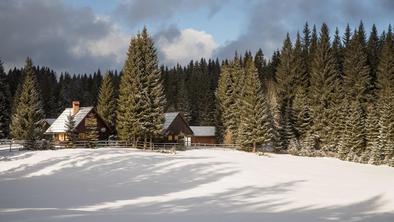 Pokljuka: rajsko predmestje Bleda in Bohinja