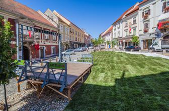 Slovenski trg na Ptuju bodo preuredili v travnik