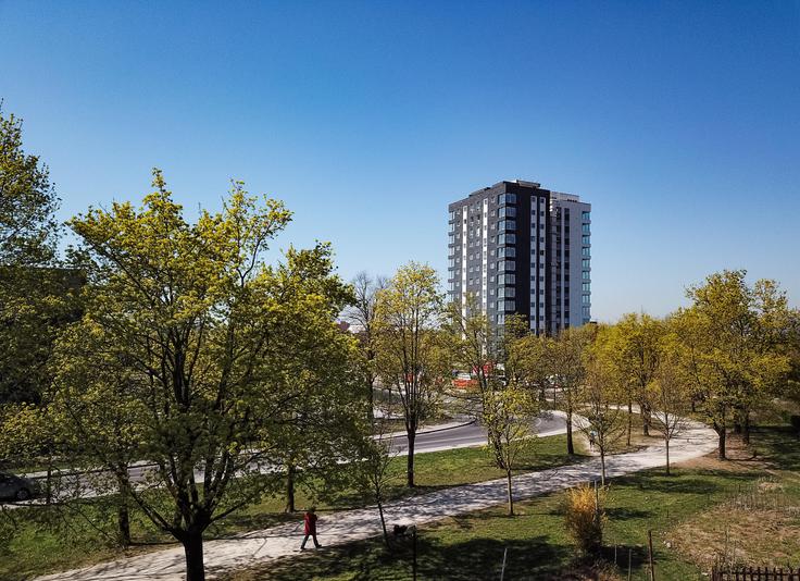 Lanel Invest Peca | Foto: 