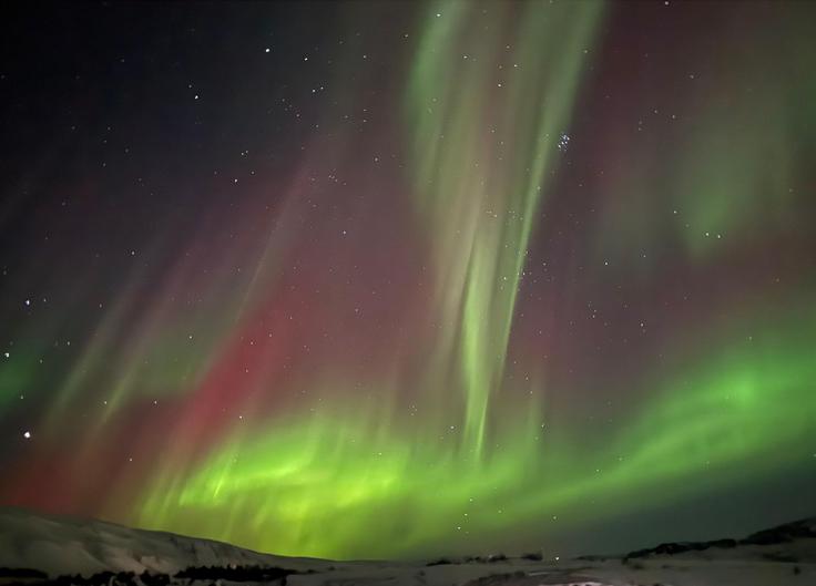 Severni sij | Foto: Profimedia