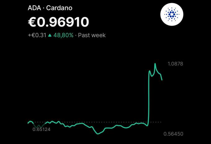 Astronomski nedeljski skok kriptovalute cardano (ADA) | Foto: Posnetek zaslona