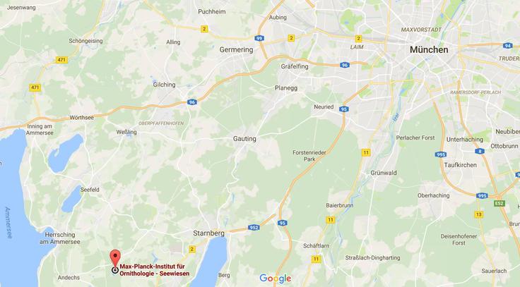 Mednarodna skupina znanstvenikov, ki jo je vodil Niels Rattenborg z ornitološkega inštituta Max Planck v bavarskem kraju Seewiesen, se je prva prepričala, da lahko ptice spijo, medtem ko letijo. | Foto: Srdjan Cvjetović