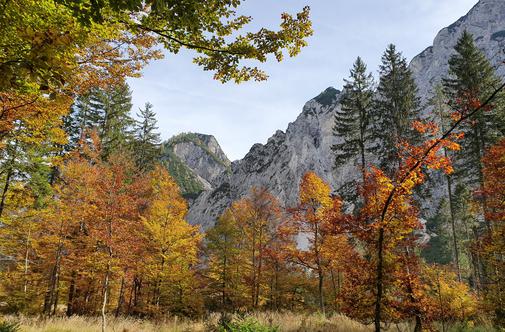 Jesenske počitnice, ki bodo navdušile vso družino