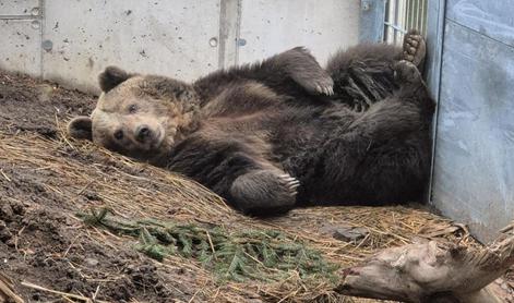 To so v Avstriji njeni najljubši priboljški