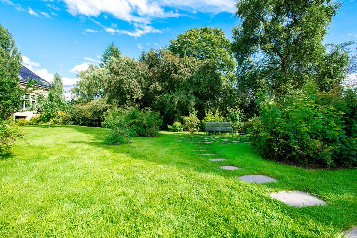 vrt | Foto: Shutterstock