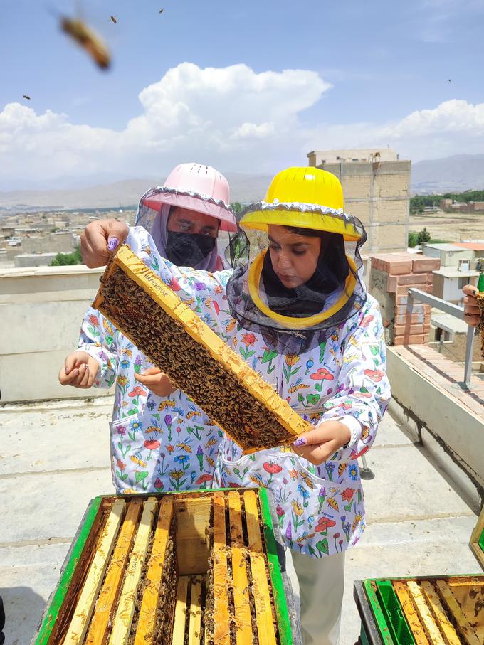 Slovenija šoli v Karaju zagotavlja urbane čebelnjake, zaščitno opremo in druge čebelarske pripomočke za praktično izobraževanje šolarjev.  | Foto: MZZ