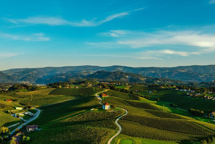 Bivanje med vinogradi: preplet večstoletne tradicije in sodobnosti