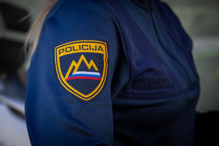 Če je kršitev na šoli hujša, lahko pokličejo tudi policijo.  | Foto: Mija Debevec Doničar