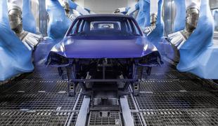 Volkswagen: Manj kombinacij avtov, več dobička