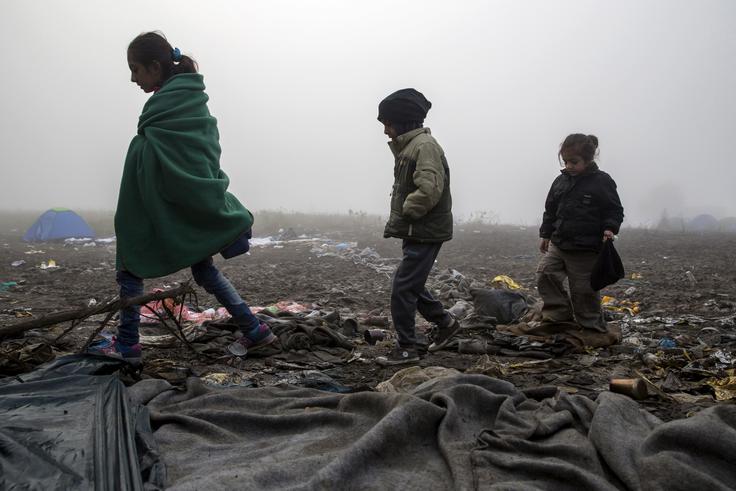 Hrvaška meja migranti | Foto: Reuters