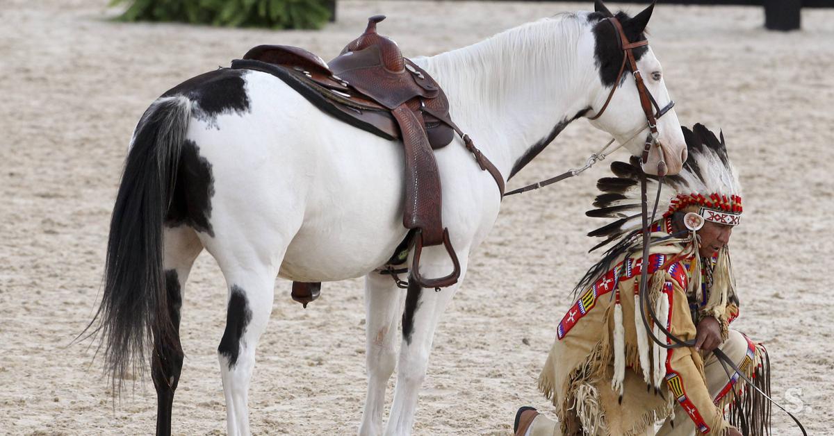 Ein Indianerhäuptling, der in Deutschland Staub aufwirbelt