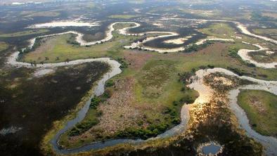 Baročna delta reke Okavango