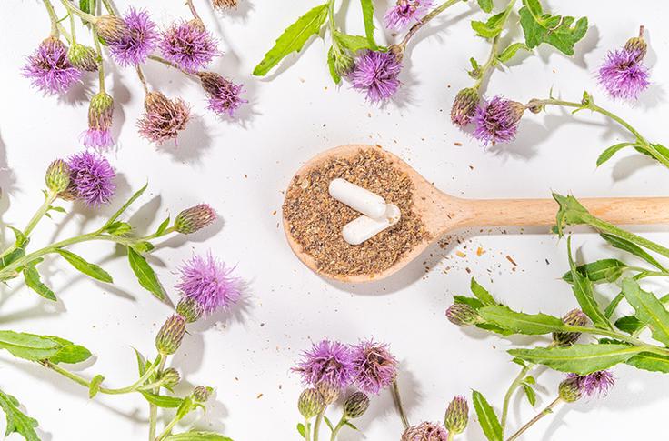 pegasti-badelj-sensilab pegasti-badelj-sensilab | Foto: Shutterstock / Sensilab