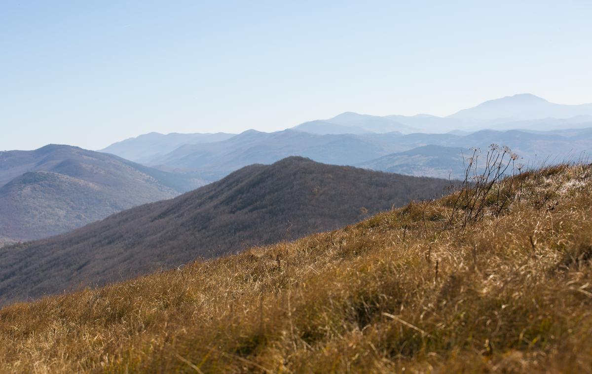 Slavnik | Fotografija s Slavnika je simbolična. | Foto Klemen Korenjak