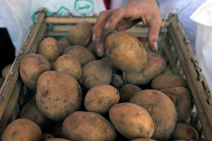krompir, hrana, živilo | Na Hrvaškem so lani zaradi suše pridelali od 50 do 60 odstotkov manj krompirja. | Foto Reuters