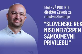 "Ribe so neposreden pokazatelj zdravja vodotokov"