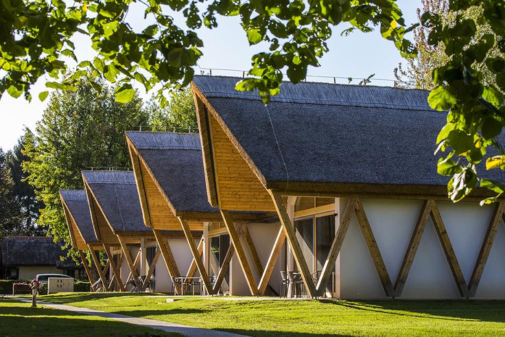 Terme 3000 - Moravske toplice | Foto: Sava Hotels & Resorts