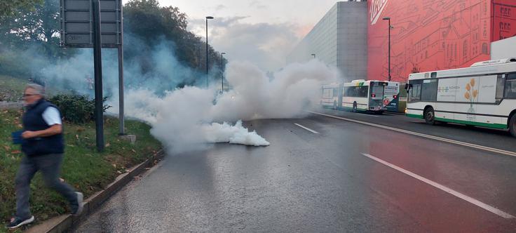 Protestniki | Foto: 
