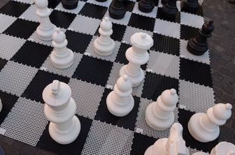 Remija Šebenika in Šublja v 9. krogu šahovskega EP