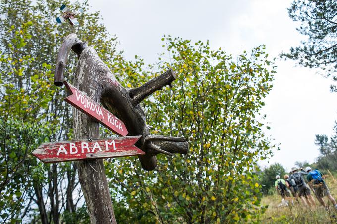 Če se lotite poti od Abrama prek Nanosa do Raztrtega, boste v Dnevnik SPP vtisnili tri žige Slovenske planinske poti. | Foto: Klemen Korenjak