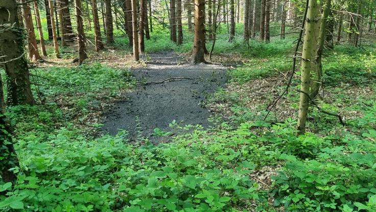 Nezakonito odlaganje komunalnega blata je povezano tudi z najodmevnejšim primerom divjega odlaganja komunalnega blata v Pivoli pri Hočah, kjer so leta 2021 našli 200 ton strupenega blata. Vpleteni so se z odlaganjem v naravo izognili plačilu zakonitega odvoza, pri čemer naj bi zaslužili več sto tisoč evrov. | Foto: necenzurirano.si