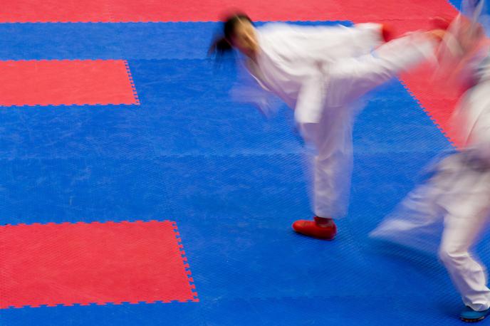 Karate - splošna | Foto Vid Ponikvar