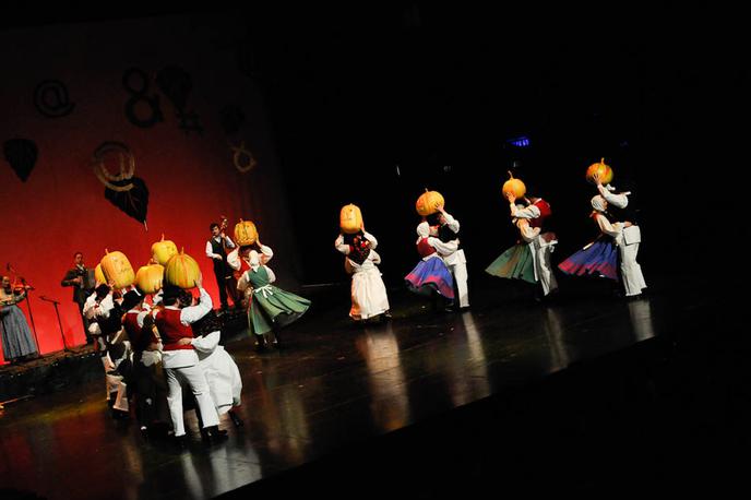 Folklorna skupina Tine Rožanc | Foto arhiv skupine