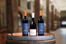 Vinakoper Capris Orange Muškat 2015: eno od 50 najboljših vin na svetu