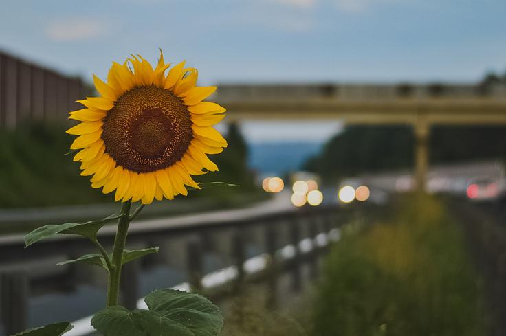 Foto: Tjaša Kovač | Foto: 