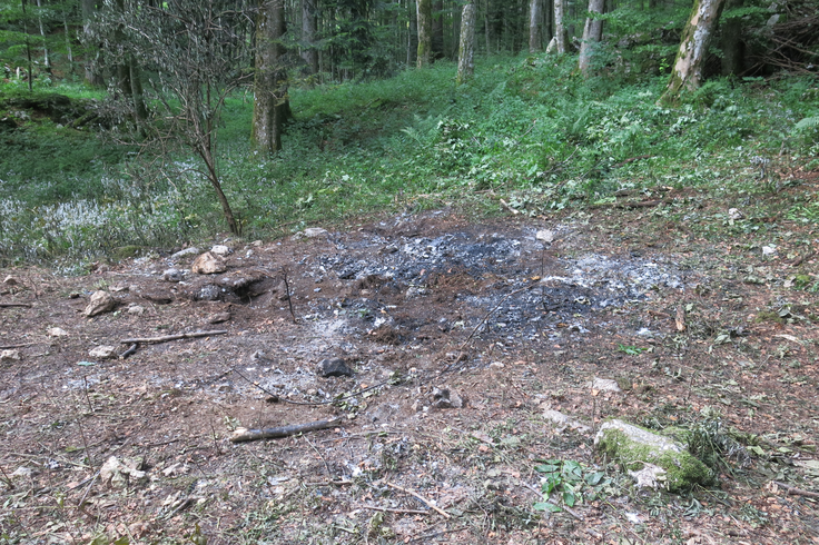 Mesto nesreče športnega letala piper 320, v katerem so nad Predmejo umrle tri osebe. | Foto: Rosana Rijavec/STA
