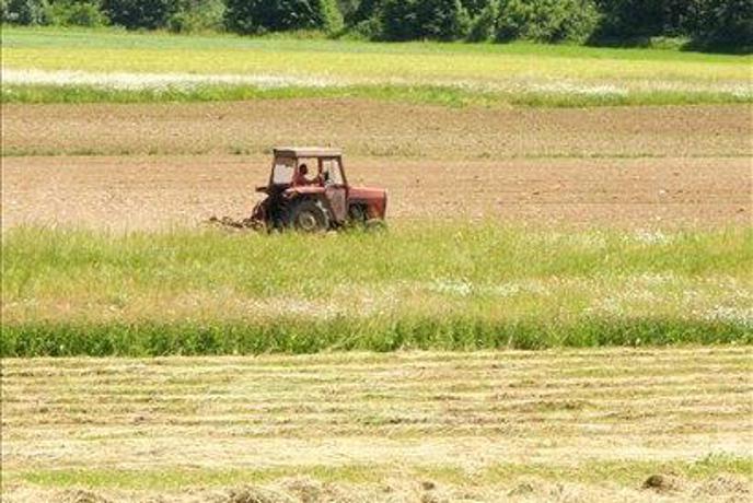 Izplačanih 3,8 milijona evrov pomoči kmetijstvu ob krizi