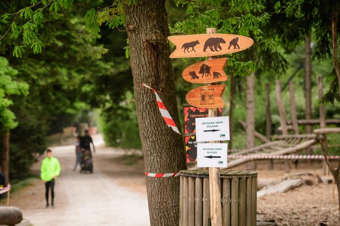 ZOO Ljubljana, živalski vrt | Kandidat mora prijavi predložiti program poslovnega in programskega razvoja zavoda za mandatno obdobje petih let in življenjepis s točnimi opisi del in nalog, ki jih je doslej opravljal. | Foto Nebojša Tejić/STA