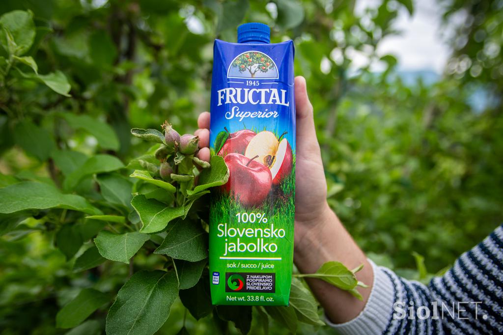 Mirosan, Rok Korber, Fructal