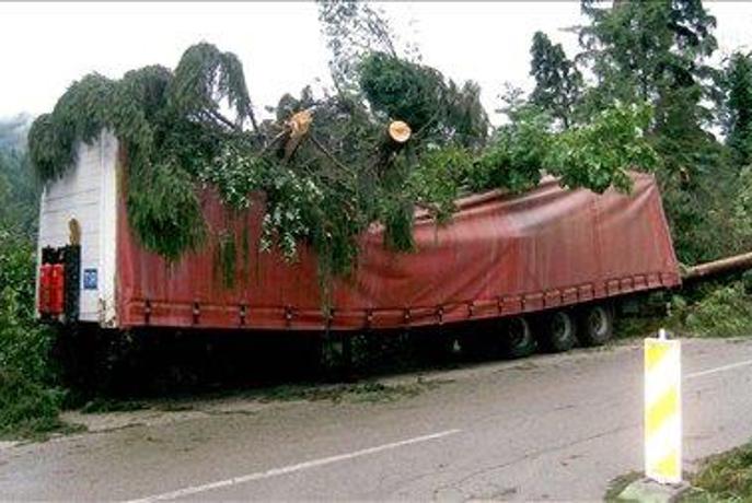 V humanitarni prireditvi zbrali 385.000 evrov