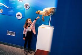 McDonald's, Akvarij Piran