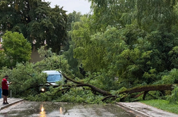 Hitra, a silovita nevihta v Ljubljani podirala drevesa #video