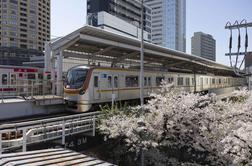 Slovenec na drugem koncu sveta: Če nimaš parkirnega mesta, sploh ne moreš imeti avta