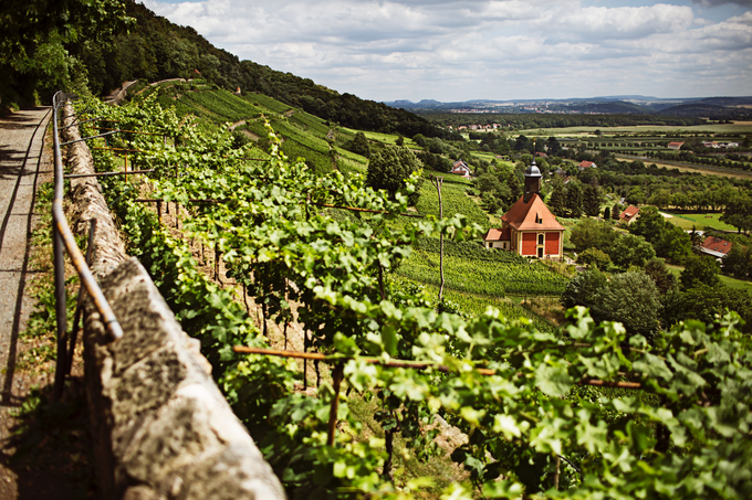 Dresden-Pillnitz, Saška vinorodna dežela © DZT | Foto: 