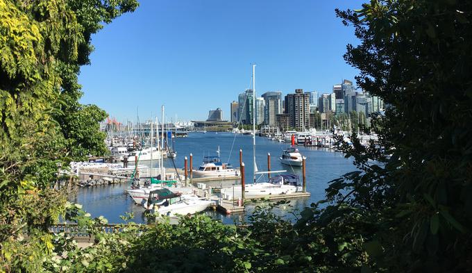 Pogled na Vancouver iz Stanley Parka | Foto: osebni arhiv/Lana Kokl