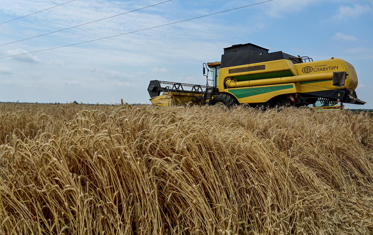 Ukrajinsko žito | Foto Reuters