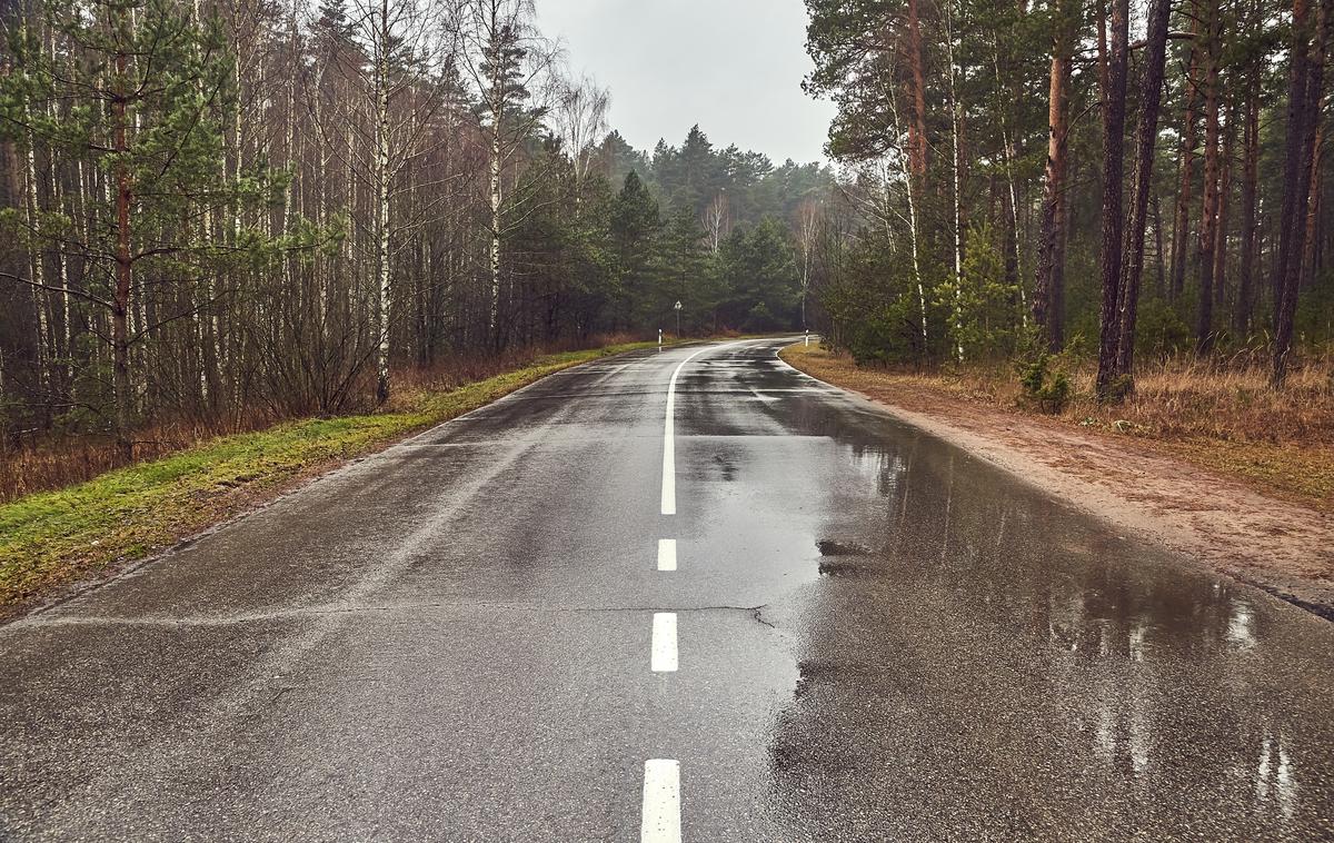 jesen, cesta, vožnja, varnost | Foto Shutterstock