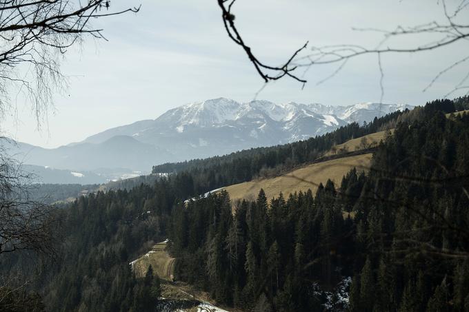 Jamnica je del Geoparka Karavanke, prepredena je s "single trail" kolesarskimi stezami, za prenočitve pa zdaj poskrbijo tri ekološke turistične kmetije Gradišnik, Mikl in Ekohotel Koroš, ki so polno zasedeni. Ekohotel Koroš se zelo veliko ukvarja s promocijo lokacije, lani je bilo tu tudi svetovno prvenstvo v enduro gorskem kolesarjenju. | Foto: Ana Kovač