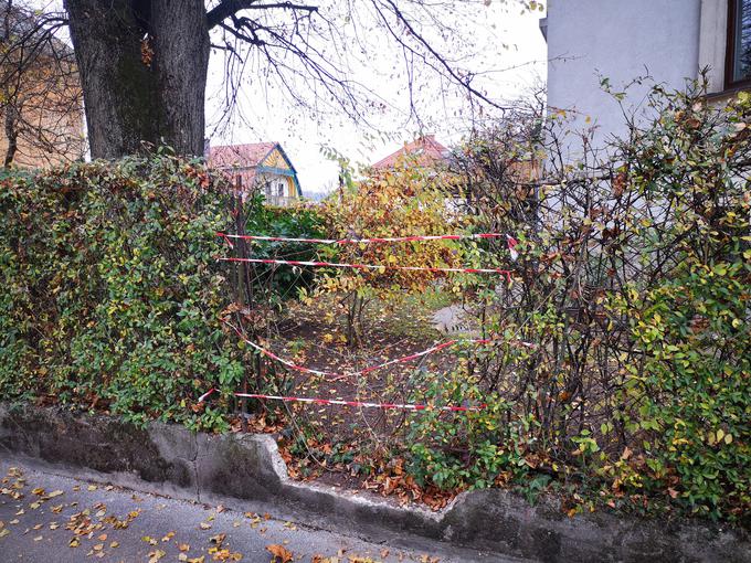 Padli diviji kostanj je poškodoval tudi ograjo bližnje hiše. | Foto: Siol.net/ A. P. K.