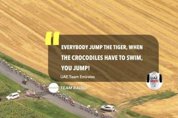 "Plan C. Ko bodo krokodili začeli plavati, planite na tigra!"