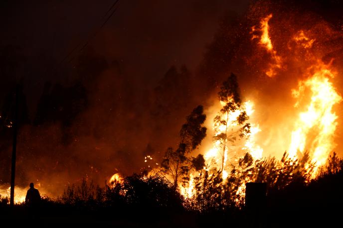 Portugalska, požar, gasilci | Foto Reuters