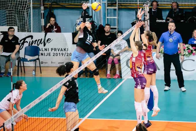 Nova KBM Branik - Calcit Volley - finale Pokala Slovenije | Foto: Klemen Brumec