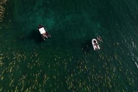 Ohrid, Ohridsko jezero